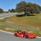 radical-rxc-spyder-ascari3-1