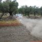 Rally Acropolis Pre Shakedown