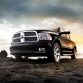 Ram Laramie Limited