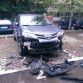 rav4 dog (1)
