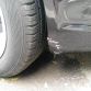 rav4 dog (4)