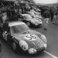 Alpine-13