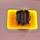 Renault in Frankfurt Motor Show 2013