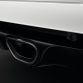 Renault Megane R.S. 275 Trophy-R (15)