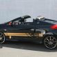 Renault Wind with F1 livery by Elia