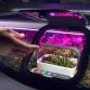 Rinspeed Oasis Concept (19)