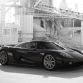 RM-auctions-Pinnacle-Portfolio-008