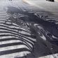 Road Melting in India (5)