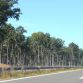 road-trip-to-frankfurt-043