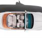 Rolls Royce Phantom Maharaja Peacock Drophead Coupe (3)