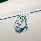 Rolls Royce Phantom Maharaja Peacock Drophead Coupe (4)