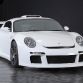 RUF CTR3 2011
