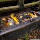 Russian military vehicles found in the woods