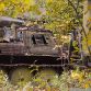 Russian military vehicles found in the woods