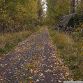 Russian military vehicles found in the woods
