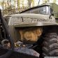 Russian military vehicles found in the woods