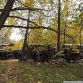 Russian military vehicles found in the woods