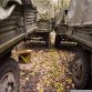 Russian military vehicles found in the woods