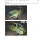 Saab Museum for sale