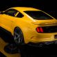 2015 Saleen S302 Black Label (24)