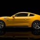 2015 Saleen S302 Black Label (26)