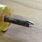 Screwdriver Key