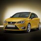 Seat Ibiza Cupra Concept