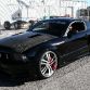 SEMA 2010