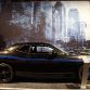 SEMA 2010