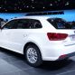 shanghai-motor-show-2013-205