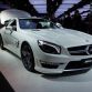 shanghai-motor-show-2013-319