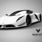 Shayton Equilibrium