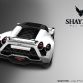 Shayton Equilibrium