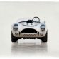 Shelby_289_Competition_Cobra_21