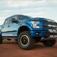 Shelby-10