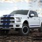 Shelby-15