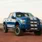 Shelby-2