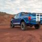 Shelby-7
