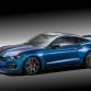 Shelby GT350R Mustang (1)