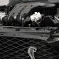 Shelby GT500 Code Red