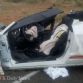 Shelby GT500 Crash