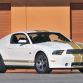 Shelby GT500 Super Snake 50th Anniversary special edition