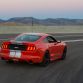 Shelby_GTE_05