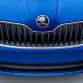 Skdoa Fabia 2015