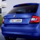 Skoda Fabia 2015 (35)