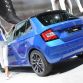skoda (1)