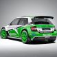 Skoda-Fabia-R5-2