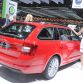 Skoda in Geneva 2013
