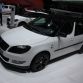 Skoda in Geneva 2013
