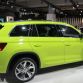 skoda-babes-4980